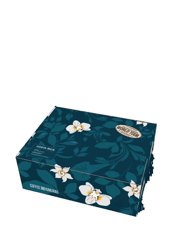 Costa Rica Gi Bundle