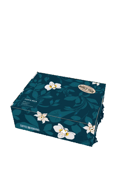 Costa Rica Gi Bundle