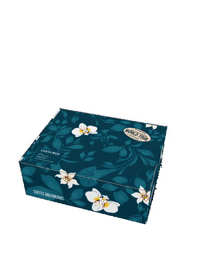 Costa Rica No Gi Bundle