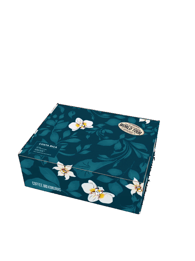 Costa Rica No Gi Bundle